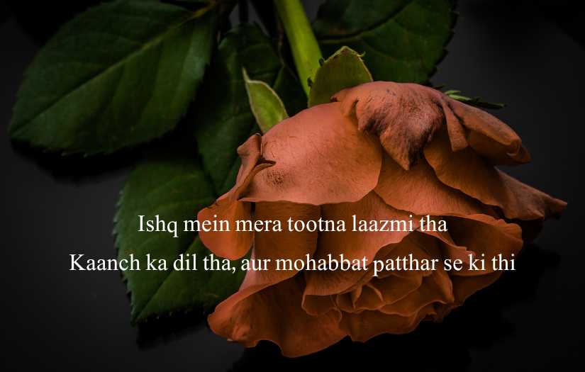 Love Sad emmotion Shayari in Hindi & English Text